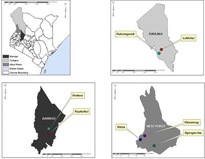 Isolation and phylogenetic characterization of arboviruses circulating among phlebotomine sandflies in parts of North Rift, Kenya